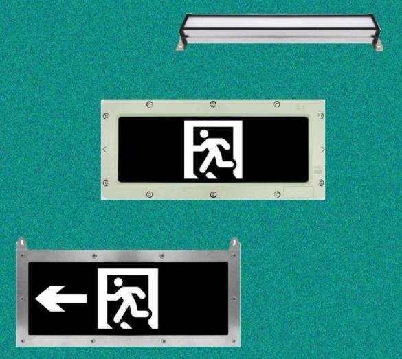 智能疏散系統(tǒng) 智能疏散系統(tǒng)